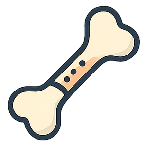 Bone Marrow