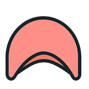 Diaphragm