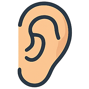 Ear