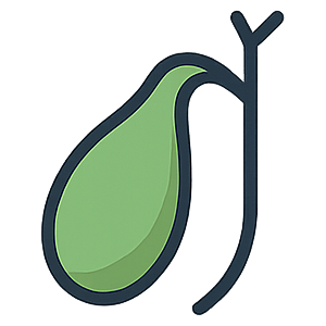 Gallbladder