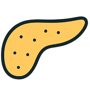 Pancreas
